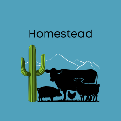 Homestead