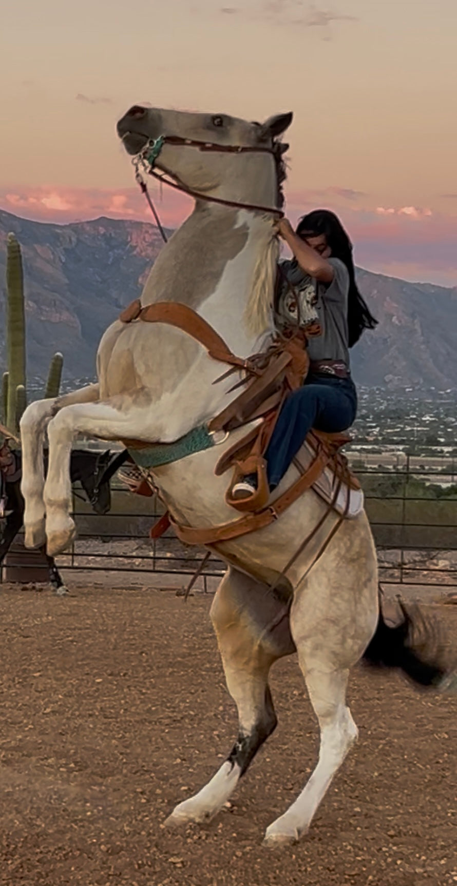 Spooky Night Mares T-shirt